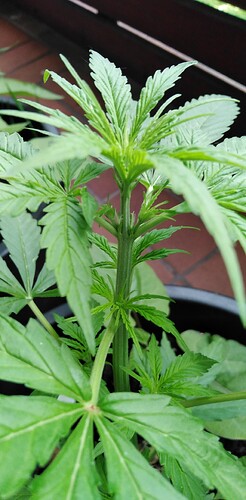 Growreport Bild 10