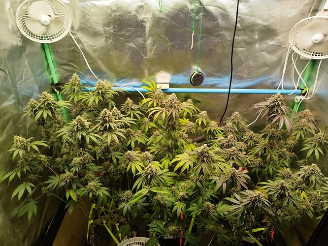 Growreport Bild 7