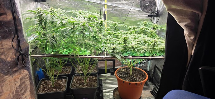 Growreport Bild 13