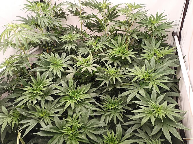 Growreport Bild 14