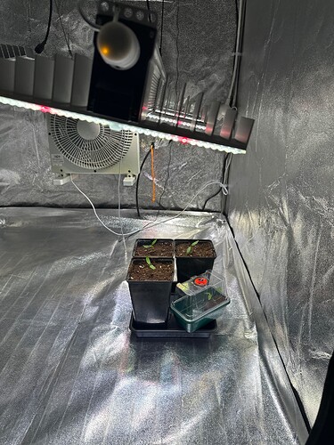 Growreport Bild 55