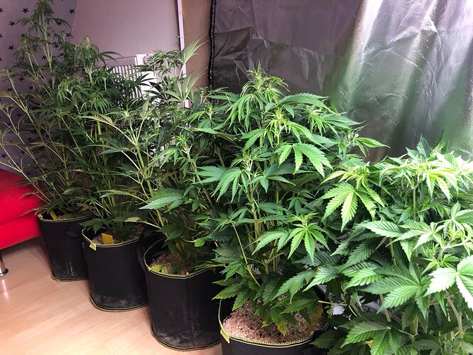 Growreport Bild 11