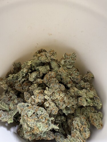 Growreport Bild 8