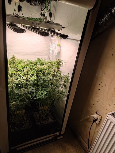Growreport Bild 21