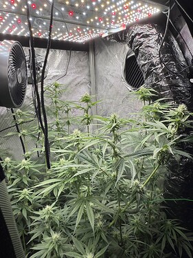 Growreport Bild 1