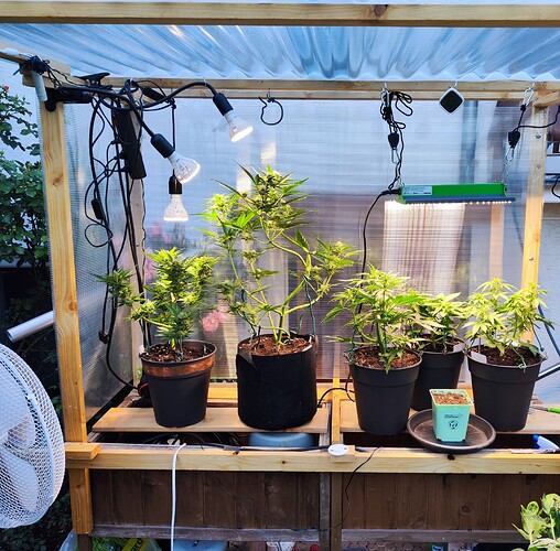 Growreport Bild 40