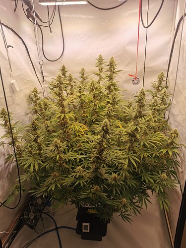 Growreport Bild 6