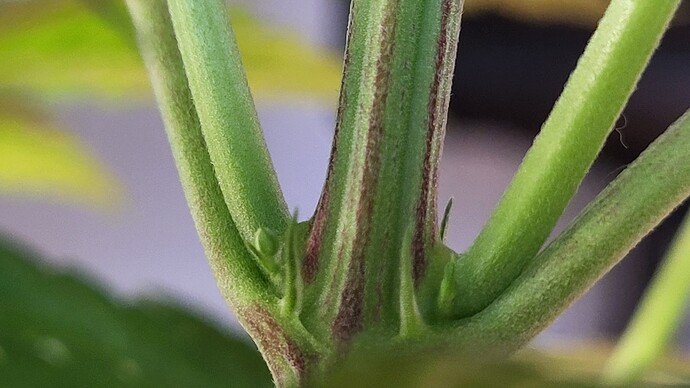 Growreport Bild 26
