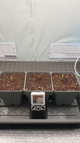 Growreport Bild 1