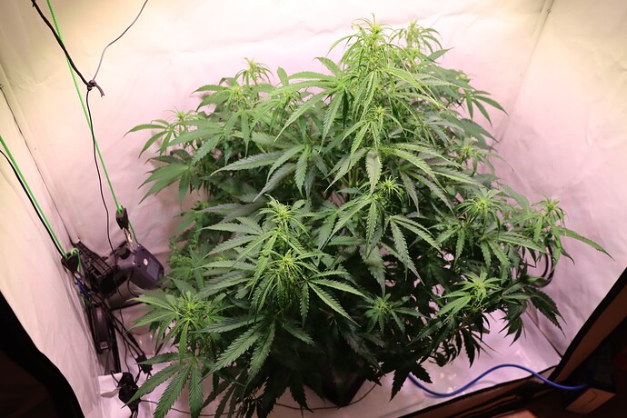 Growreport Bild 7