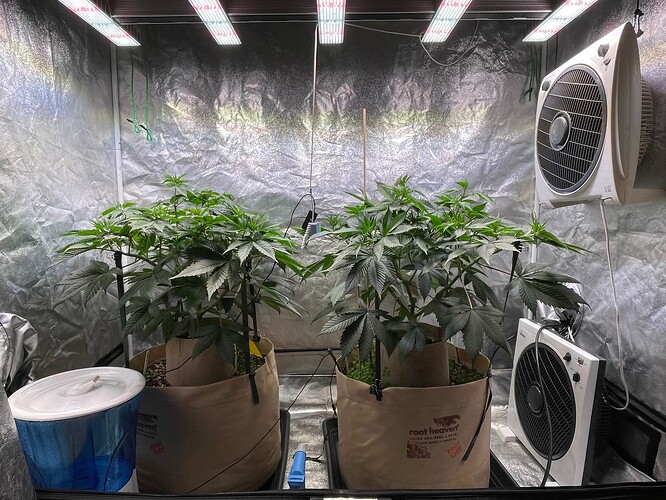 Growreport Bild 5