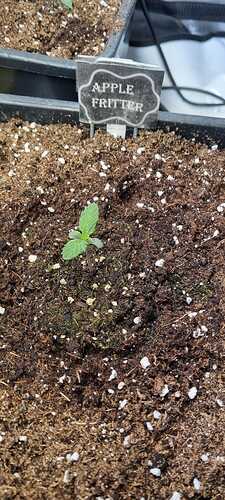 WhatsApp Image 2025-11-28 at 22.49.57