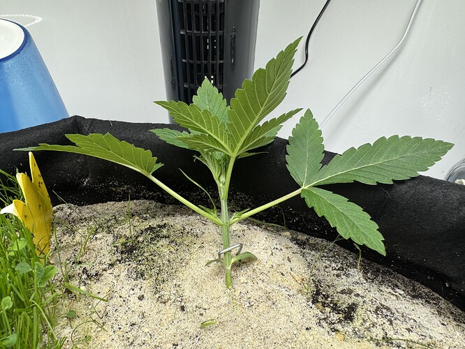 Growreport Bild 20