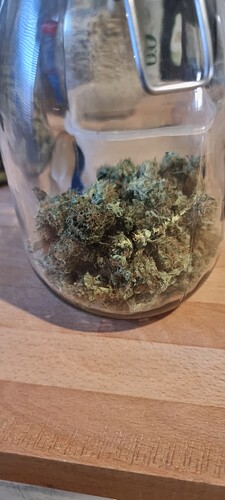 Growreport Bild 4