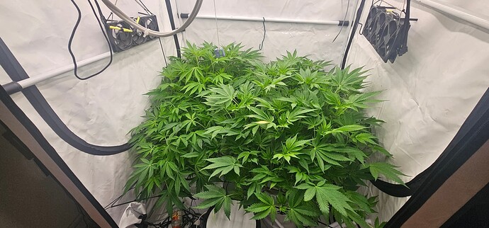 Growreport Bild 3