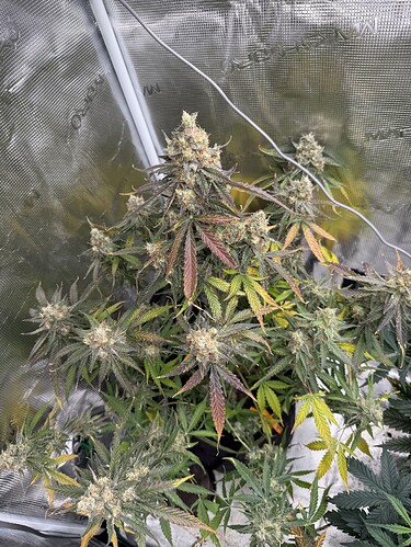 Growreport Bild 10