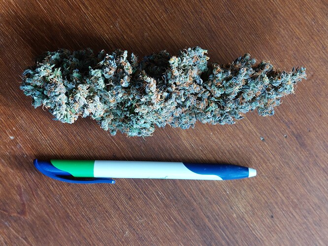 Growreport Bild 13