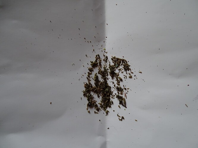 Growreport Bild 1
