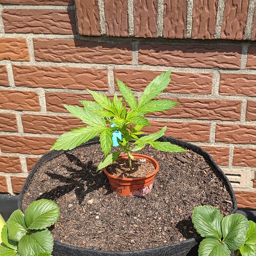 PXL_20240531_093531220