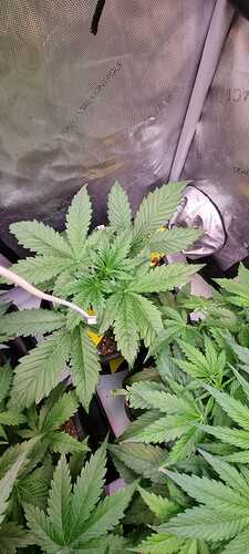 WhatsApp Image 2025-12-16 at 12.54.00 (1)