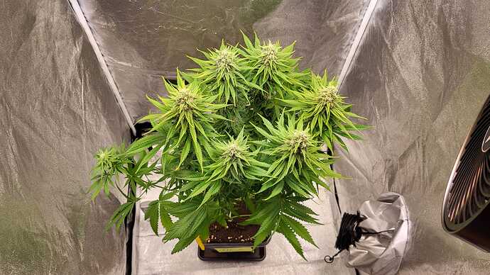 Growreport Bild 21