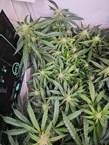 MVIMG_20251028_175559