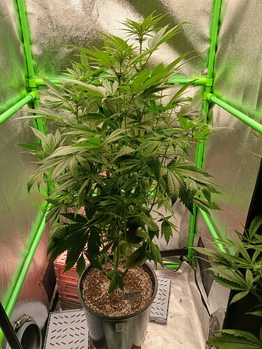 Growreport Bild 7
