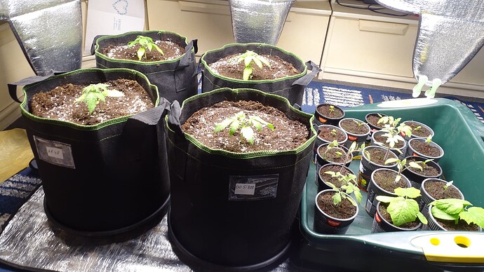 Growreport Bild 20