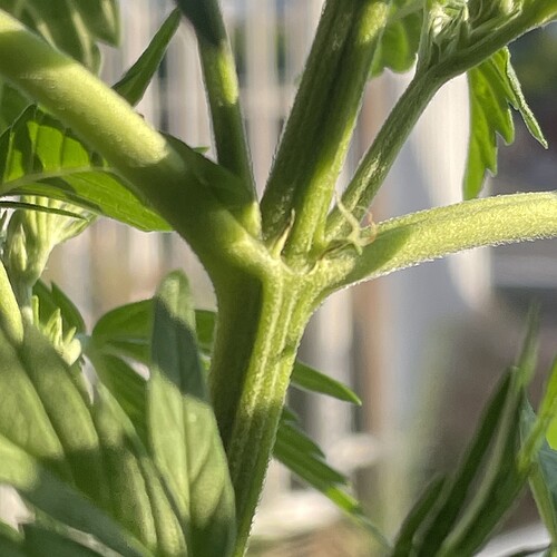 Growreport Bild 6