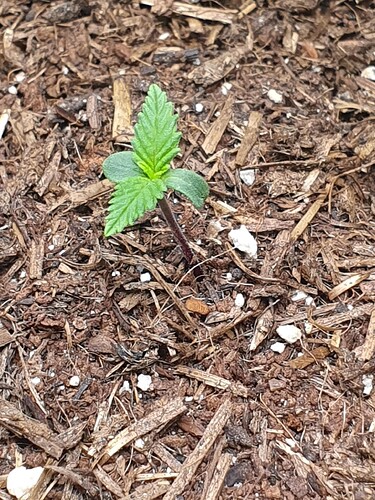 Tag 4 -2025-08-26-225908_005