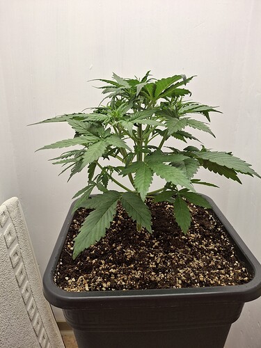Growreport Bild 48