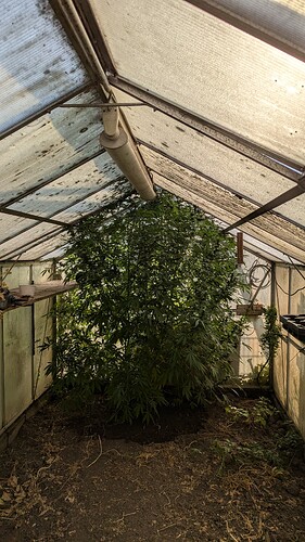 Growreport Bild 14