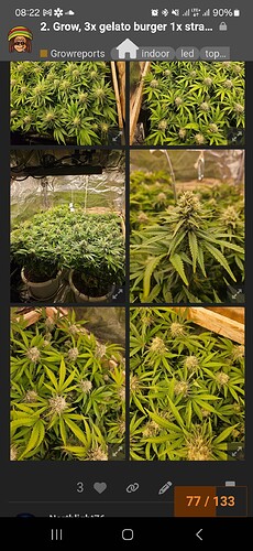 Growreport Bild 29