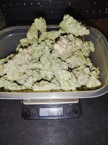 Growreport Bild 4