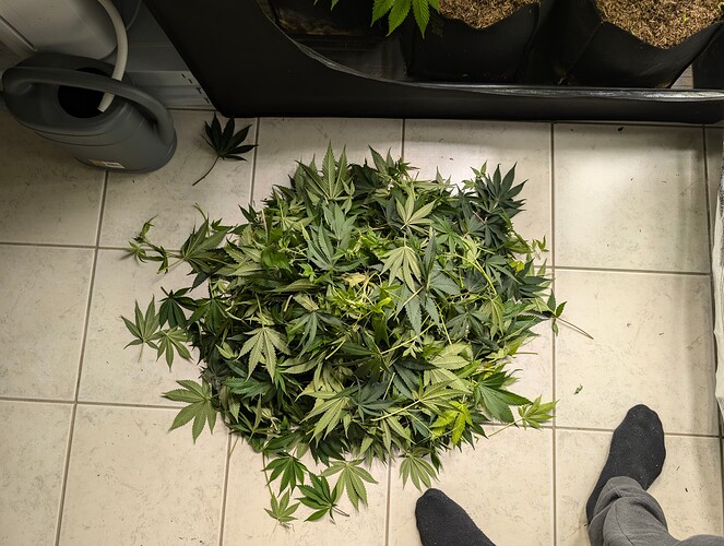Growreport Bild 3
