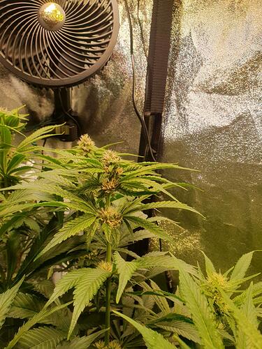 Growreport Bild 6