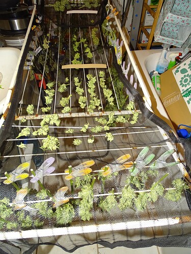 Growreport Bild 14