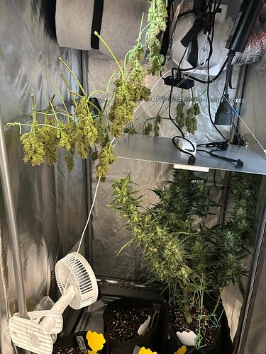 Growreport Bild 2