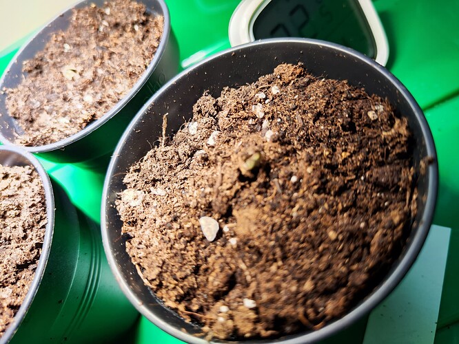 Growreport Bild 7