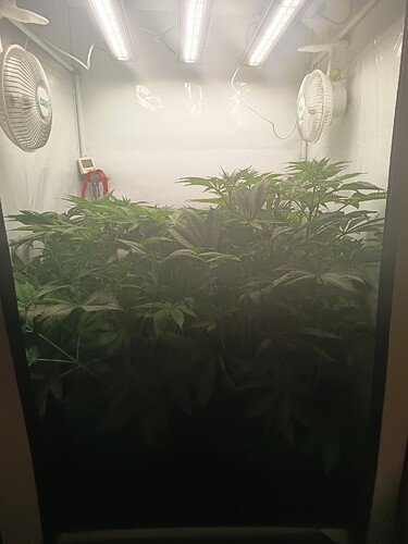 Growreport Bild 12