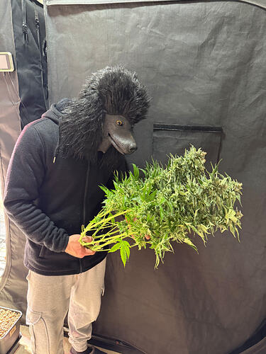 Growreport Bild 34