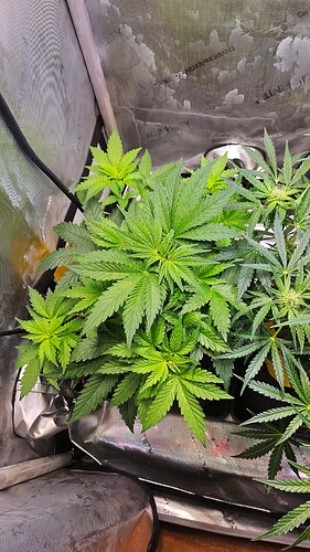 Growreport Bild 13