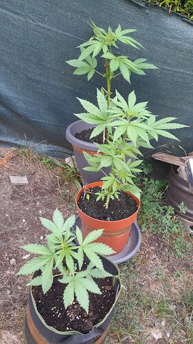 Growreport Bild 10