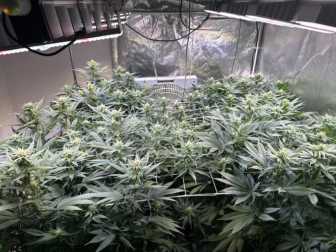 Growreport Bild 9