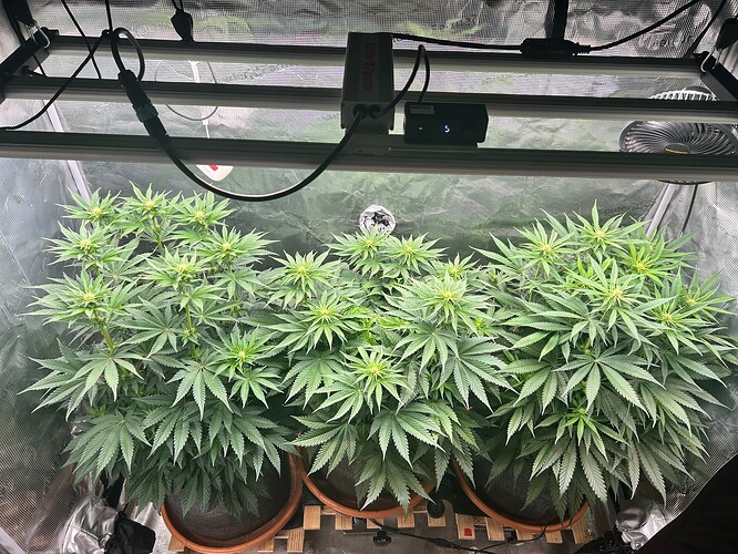 Growreport Bild 1