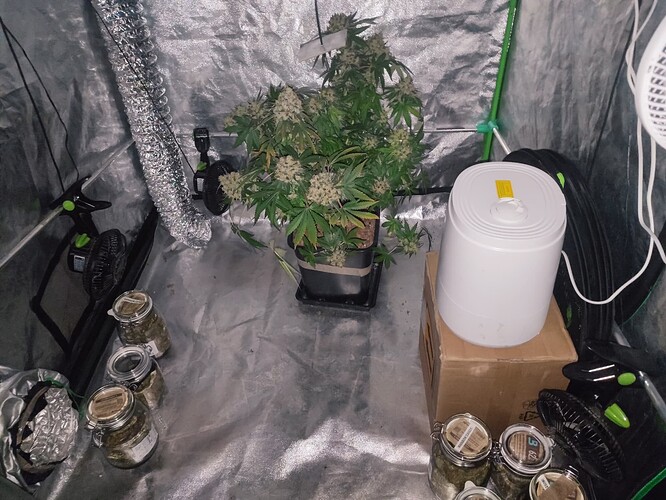 Growreport Bild 18