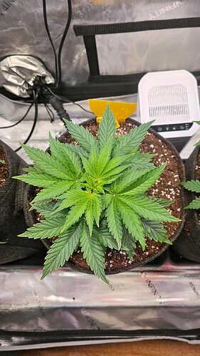 Growreport Bild 21
