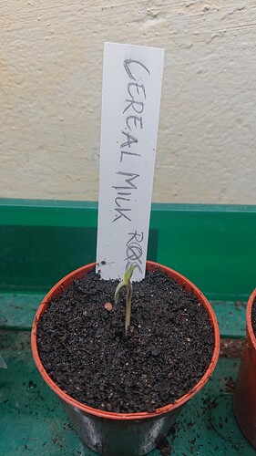 Growreport Bild 16