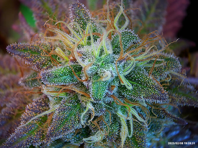Growreport Bild 16