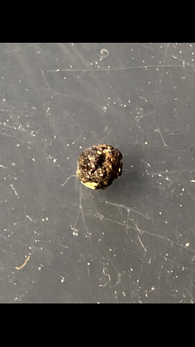 Growreport Bild 9